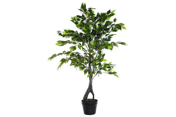 JA 178784 2 - Planta pvc pp 60x70x120 ficus benjamin verde